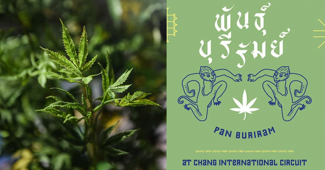 กัญชาฟีเวอร์! งานพันธุ์บุรีรัมย์ ระดมแพทย์-ผู้เชี่ยวชาญมอบความรู้กัญชาใช้ได้จริง 19-21 เม.ย.