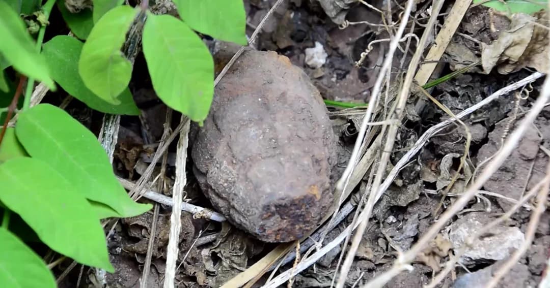 ผวา! พบวัตถุปริศนาคล้ายระเบิดวางอยู่ในไร่อ้อย