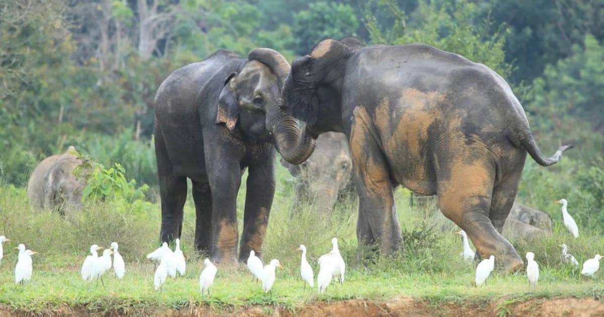 “วันครอบครัว” เข้าอุทยานแห่งชาติทั่วประเทศ ฟรี