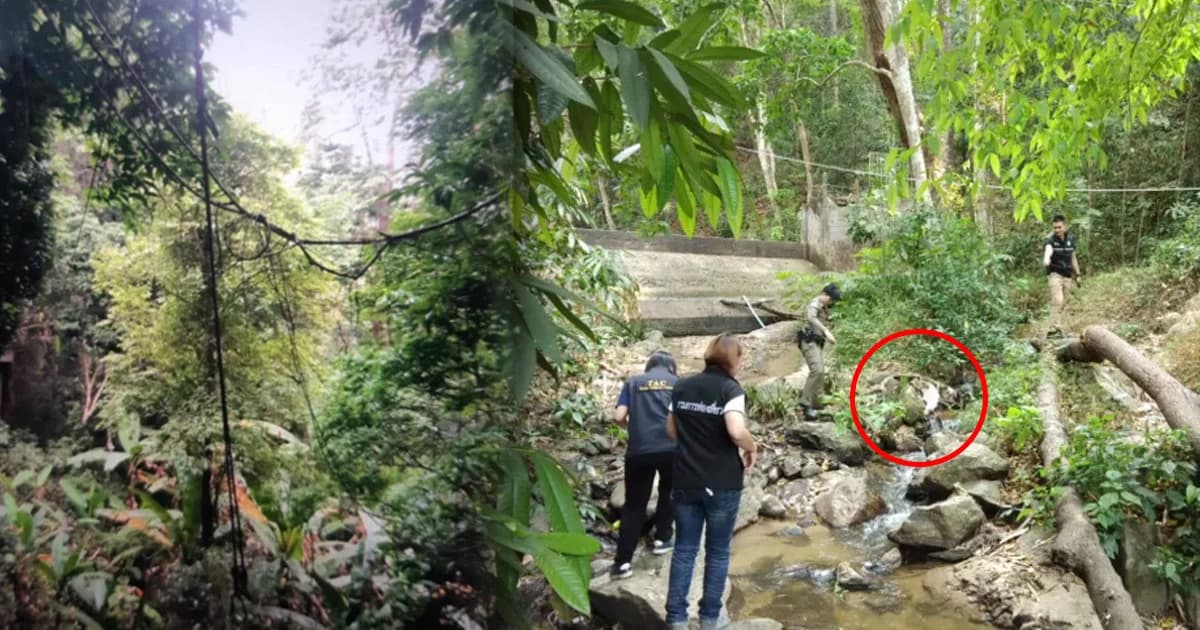 เตรียมผ่าพิสูจน์ร่างหนุ่มแคนาดา หนัก 180 กก. คลี่ปมเสียชีวิต ตกซิปไลน์แม่กำปอง