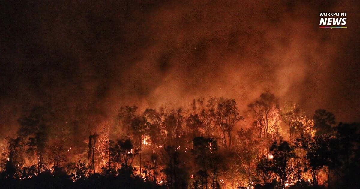 PM 2.5 | เจาะความจริง เหตุใดเชียงใหม่จึงมีฝุ่นพิษ PM 2.5 สูงที่สุดในประเทศ