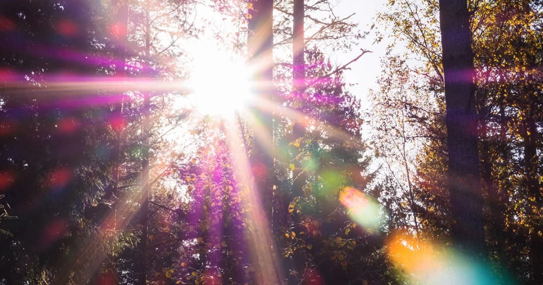 ภาคเหนือร้อนจัดวันนี้อุณหภูมิสูง 43 องศา โปรดเลี่ยงกิจกรรมกลางแจ้ง