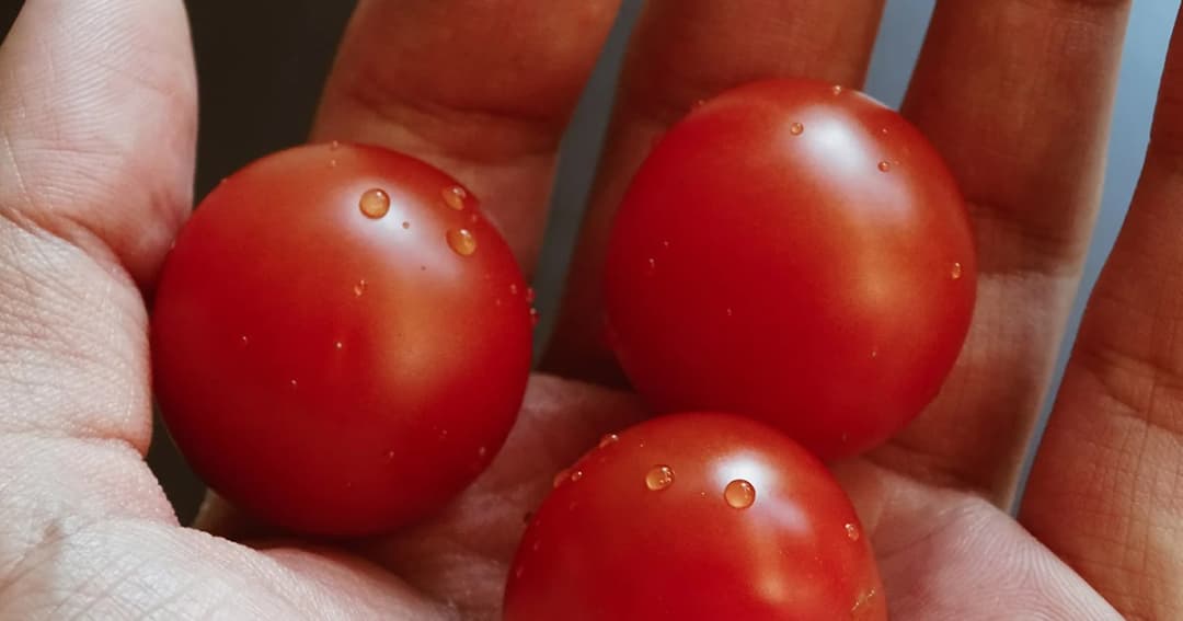 แพทย์แผนไทย แนะนำ 5 วิธี ฟื้นฟูใบหน้าหลังสงกรานต์