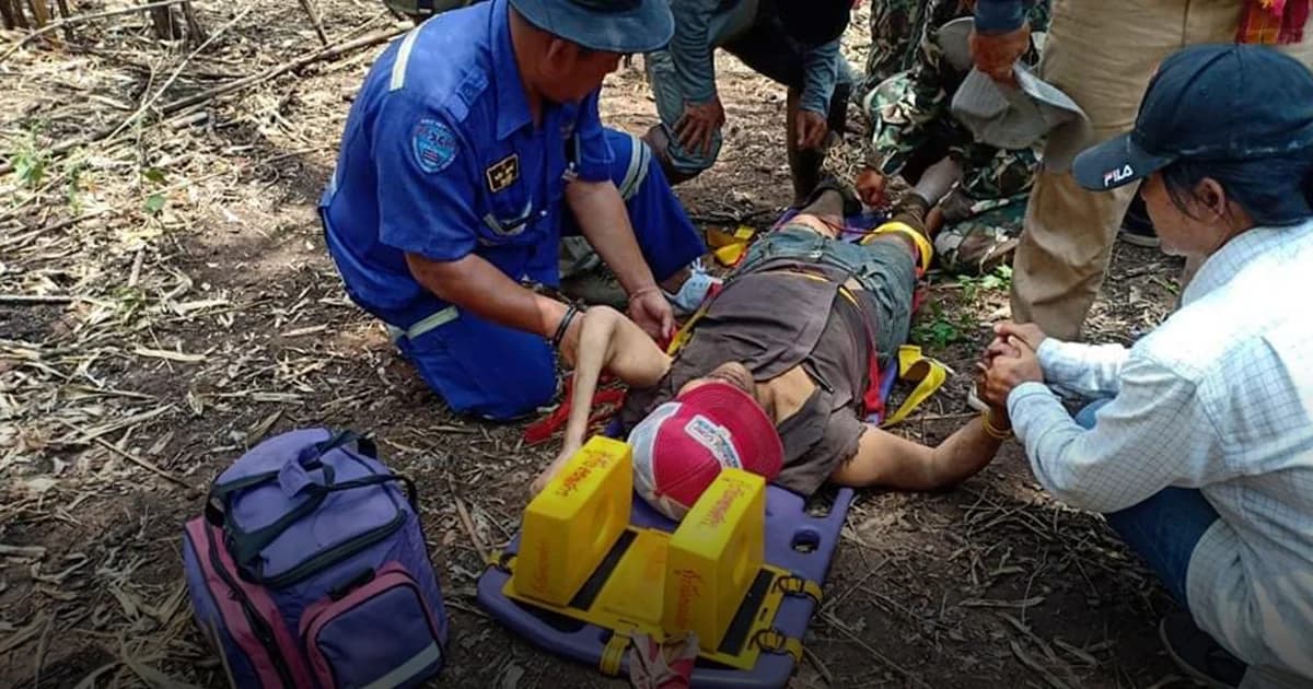 หลงป่า 13 วัน หลังเข้าไปหาอึ่ง รอดได้เพราะกินกล้วยป่า