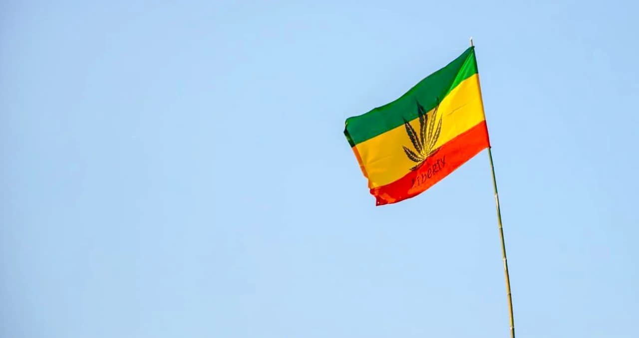 สำรวจ งานกัญชาไทยใน “พันธุ์บุรีรัมย์”