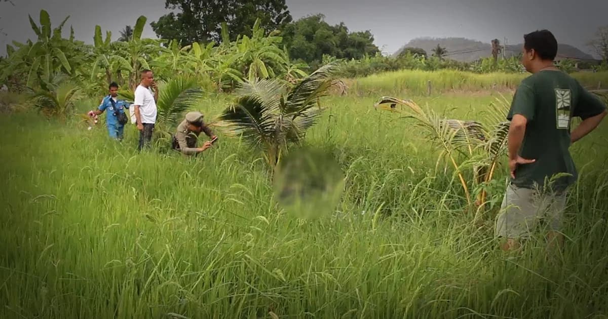 ชายวัย 52 ปี ถูกฆ่าทิ้งศพกลางทุ่งนาราชบุรี ตร.คาดถูกคู่อริทำร้าย