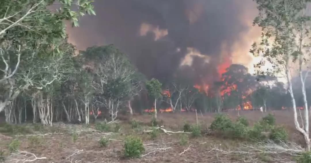 ไฟป่าเผา “ทุ่งหญ้าสะวันนา” เกาะพระทอง จ.พังงา วอดกว่า 1,000 ไร่