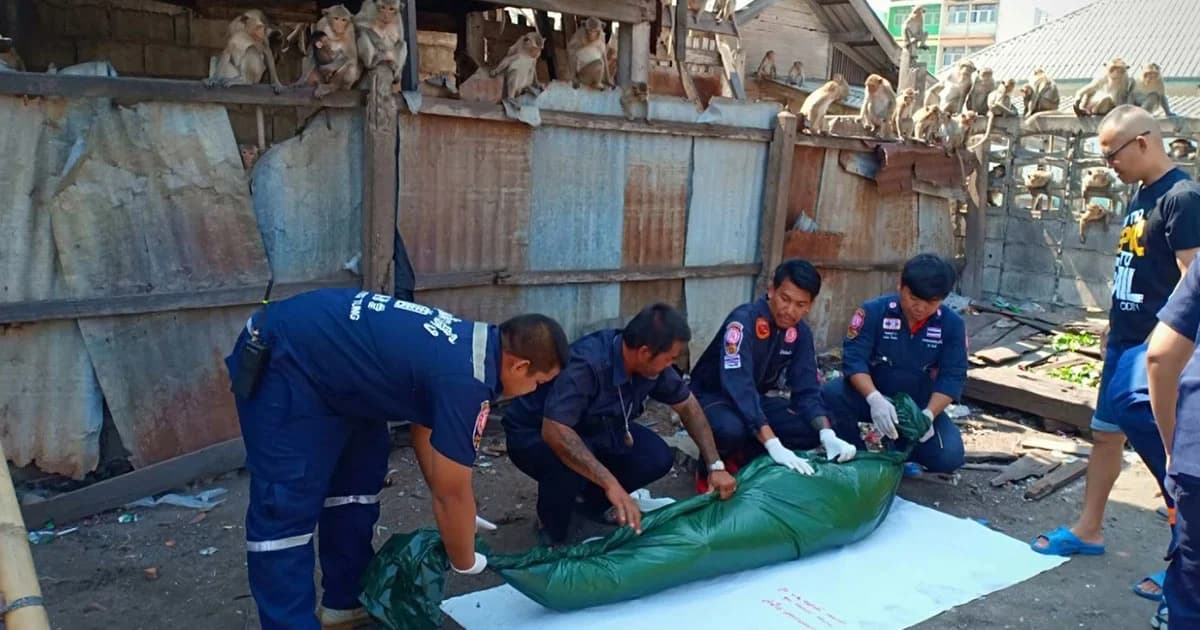 หนุ่มเร่ร่อนเสียชีวิตในบ้านร้าง คาดขาดน้ำ ฝูงลิงรุมล้อมแน่น