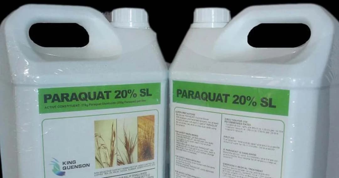 ผู้ตรวจการฯ ย้ำมติเดิม! 1 ม.ค. 63 ต้องเลิกใช้สารเคมี “พาราควอต”