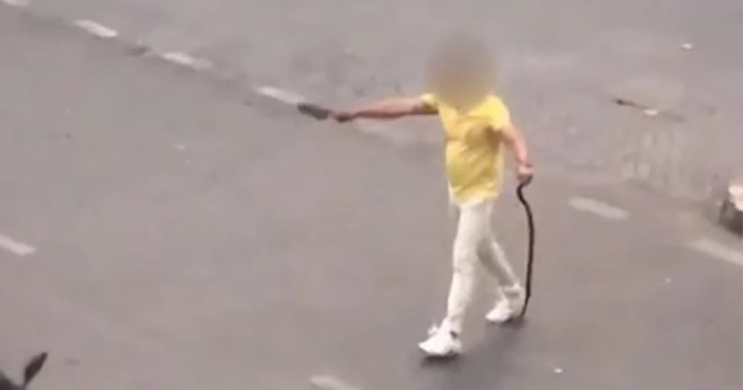 แพทย์ระบุ ชายจอดรถปล่อยงู กลางแยกราชประสงค์ มีอาการป่วยทางจิต