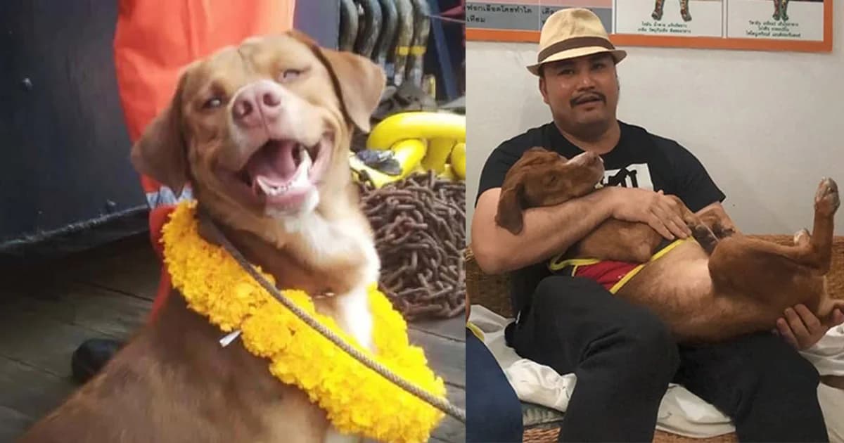 “เจ้าบุญรอด” ดีใจ เจอหน้าคนช่วยชีวิต เเละขอรับเลี้ยง พาไปอยู่ขอนแก่น