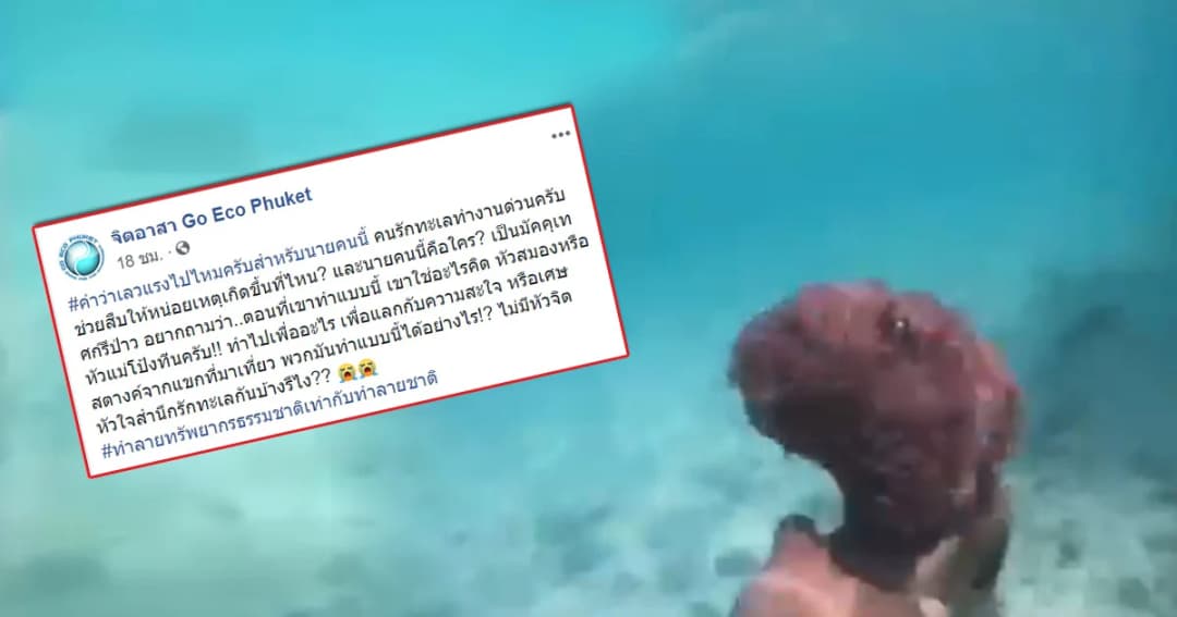 บีบหัวใจนักอนุรักษ์! ไกด์ไทยเด็ดดอกไม้ทะเลล่อปลานีโม่ให้นักท่องเที่ยวจับ