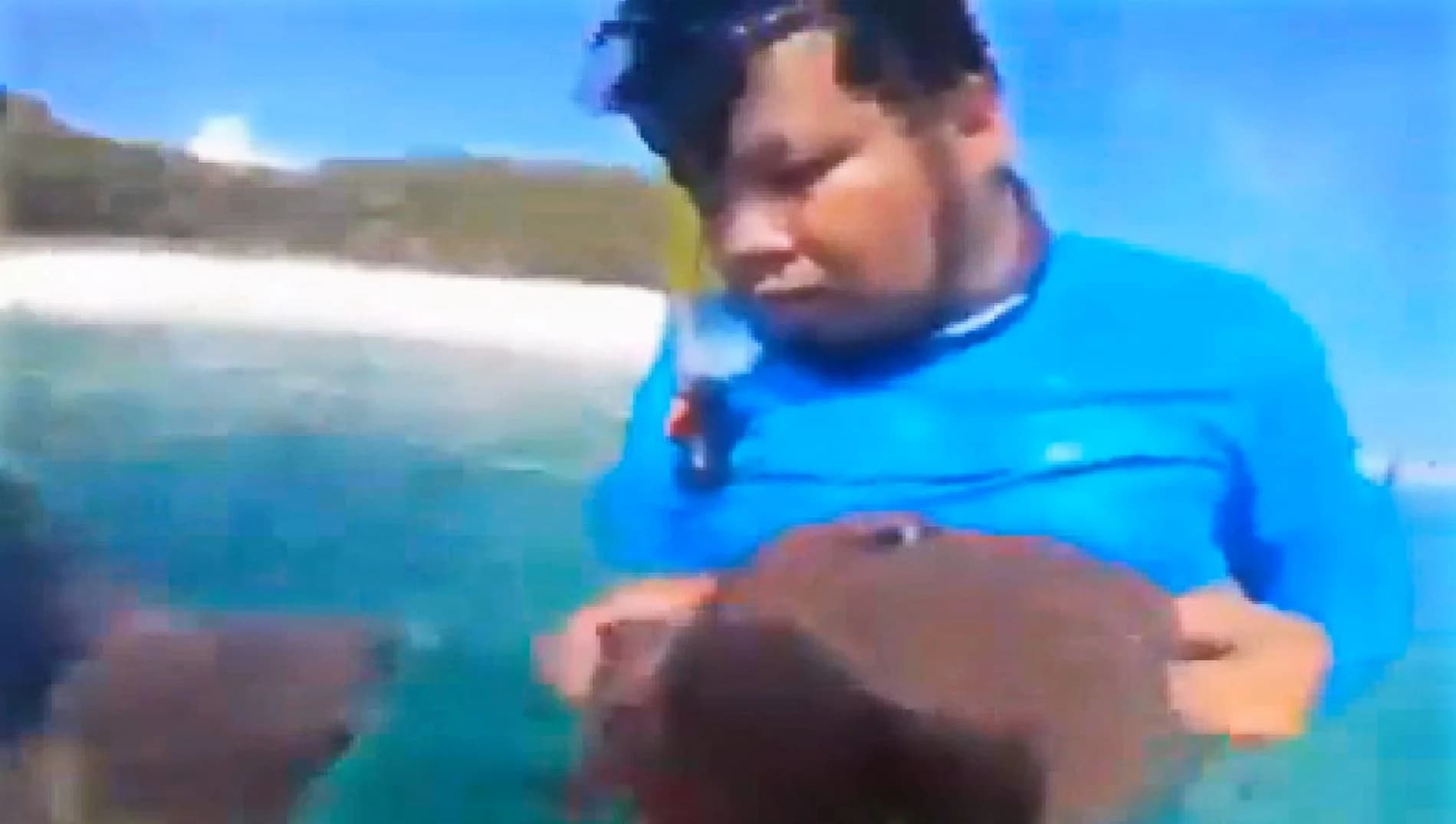 ดำเนินคดีไกด์ดำน้ำ เด็ดดอกไม้ทะเลล่อปลานีโม่