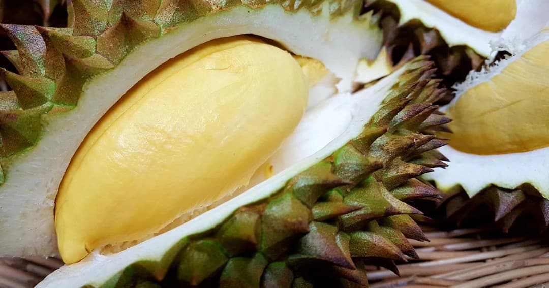 เอาใจแรงงาน! วัดท่าไม้ แจกทุเรียนฟรี ไม่อิ่ม ไม่ต้องกลับบ้าน