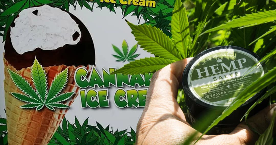 ป.ป.ส. เตือนนำเข้า-ผลิต-ครอบครอง “อาหารหรือเวชสำอาง” มีส่วนผสมกัญชา ยังผิดกฎหมาย