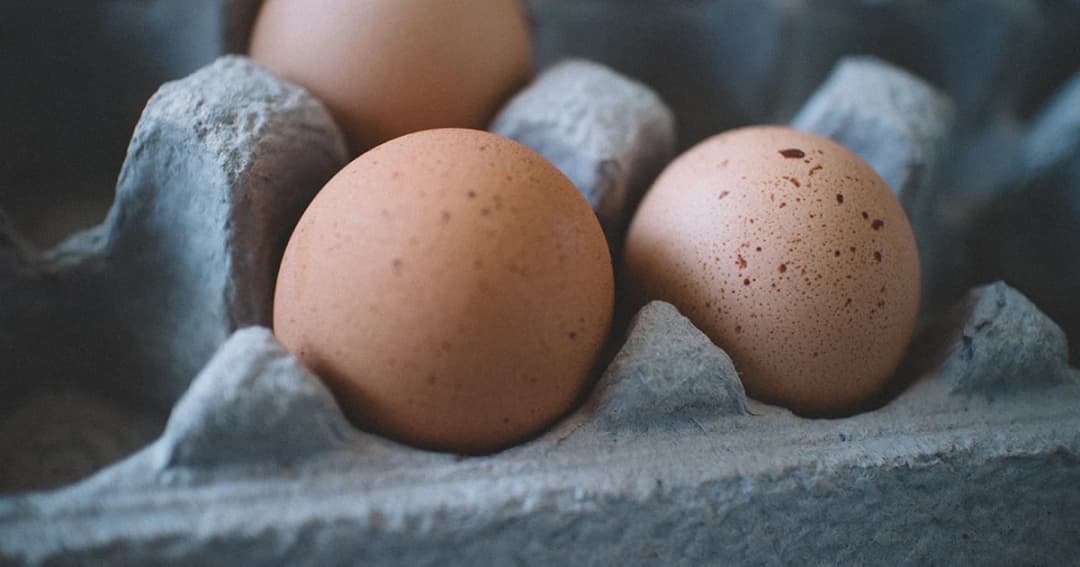 ปศุสัตว์ ชี้แจง ใบอนุญาตขายไข่ บังคับเฉพาะพ่อค้าคนกลางรายใหญ่เท่านั้น