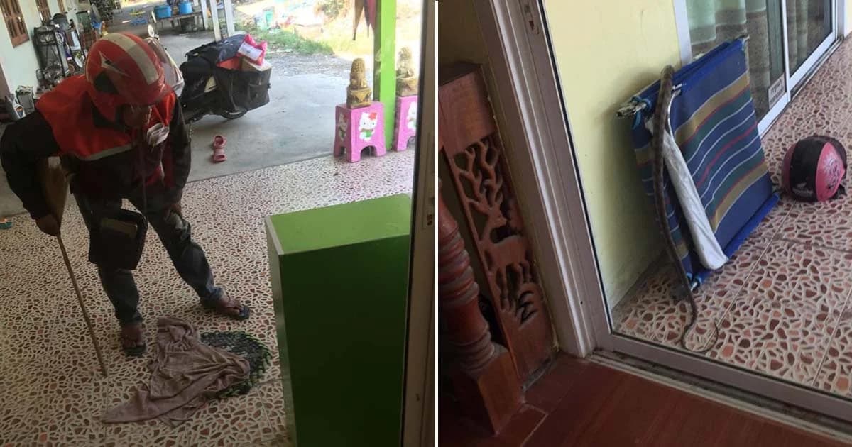 “บุรุษไปรษณีย์ไทย” ส่งจดหมายได้ ช่วยไล่จับงูก็เป็น!