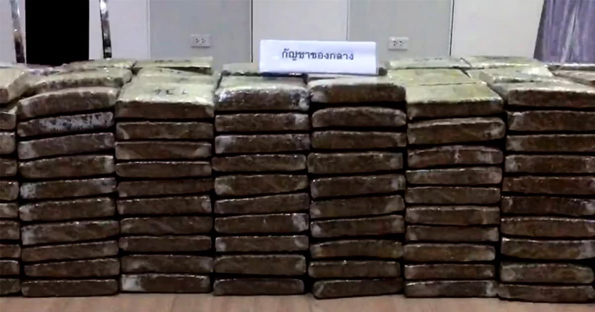 ป.ป.ส.ตรวจกัญชา ของกลาง หวังใช้ประโยชน์ทางการแพทย์