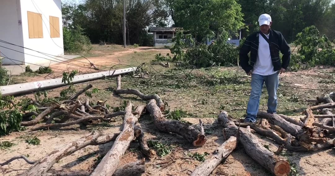 เจ้าหน้าที่ตำรวจสนธิกำลังหลายฝ่าย ล่าคนร้ายบุกโรงเรียนตัดไม้พะยูงอายุ 200 ปี