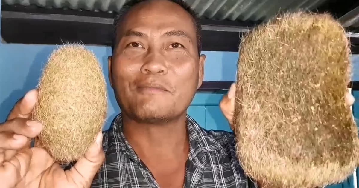 ชาวบ้านแห่ดู “อ้วกหมู” ผู้ใหญ่บ้าน รอการพิสูจน์ เผยนักธุรกิจจีน สนใจ จะเข้ามาดูเร็วๆ นี้