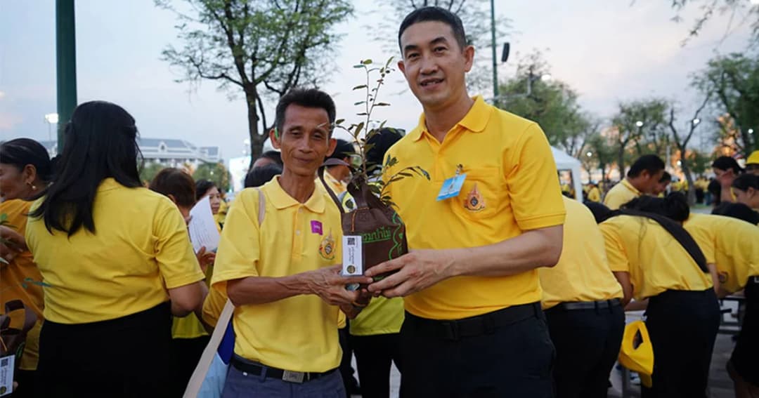 ประชาชน รับแจกต้นรวงผึ้ง ต้นไม้ประจำรัชกาลที่ 10 ณ ท้องสนามหลวง
