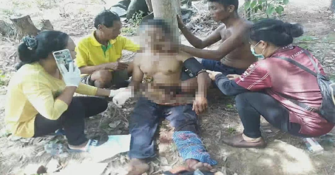 หนุ่มบุรีรัมย์เข้าป่าเก็บดอกกระเจียว ถูกกระทิงไล่ขวิดไส้ทะลัก เจ็บสาหัส