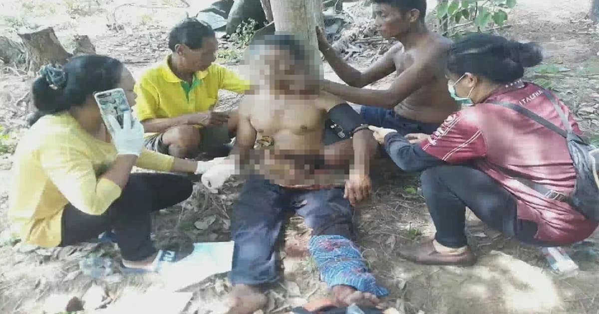 หนุ่มบุรีรัมย์เข้าป่าเก็บดอกกระเจียว ถูกกระทิงไล่ขวิดไส้ทะลัก เจ็บสาหัส