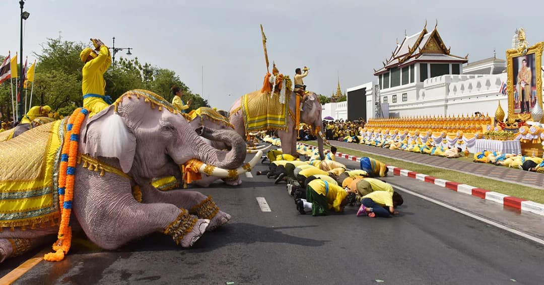 ยิ่งใหญ่!  “ริ้วขบวนคชสาร” ช้างงางาม 11 เชือก ถวายพระพรชัยมงคล ในหลวงรัชกาลที่ 10