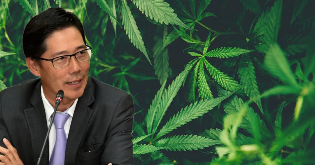 ใครมี ‘กัญชา’ อยู่ในครอบครองให้แจ้งภาย อย.ใน 21 พ.ค.นี้ ล่าสุดแจ้งแล้ว 8,500 คน