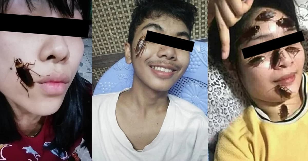 หมอเตือน ทำชาเลนจ์แมลงสาบเกาะหน้า เสี่ยงโรคทางเดินอาหาร