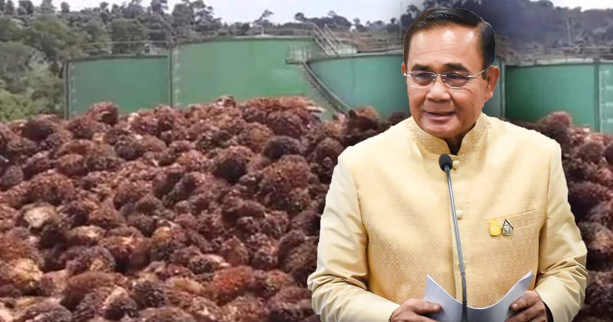 นายกฯ ย้ำรัฐเร่งแก้ปัญหาราคาปาล์มตกต่ำ สั่งห้ามฉวยโอกาสกดราคาชาวสวน