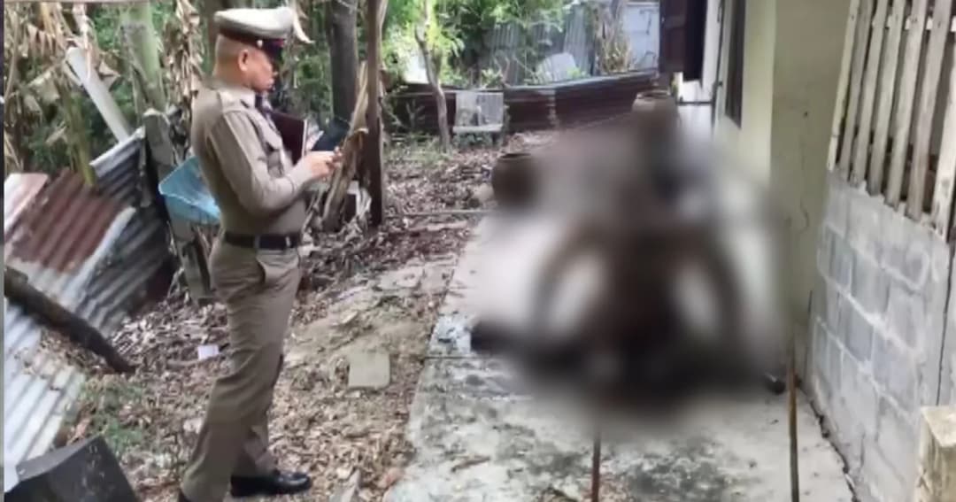 หนุ่มเพิ่งได้รับพระราชทานอภัยโทษ กลับมาบ้านไม่เหลือใครผูกคอดับ