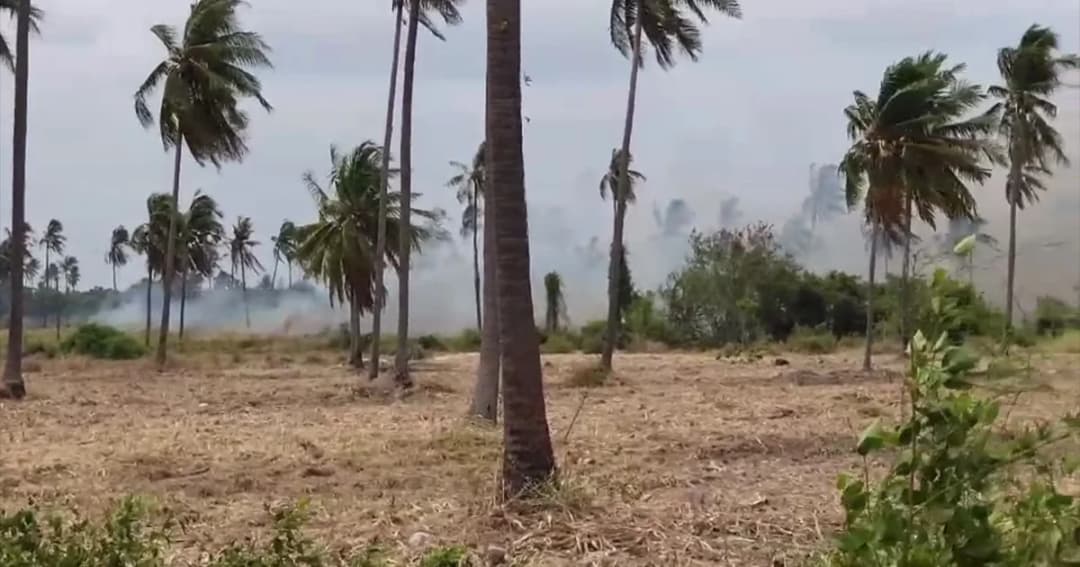 ประจวบคีรีขันธ์ร้อนจัด ไฟไหม้สวนมะพร้าวเสียหายนับร้อยไร่