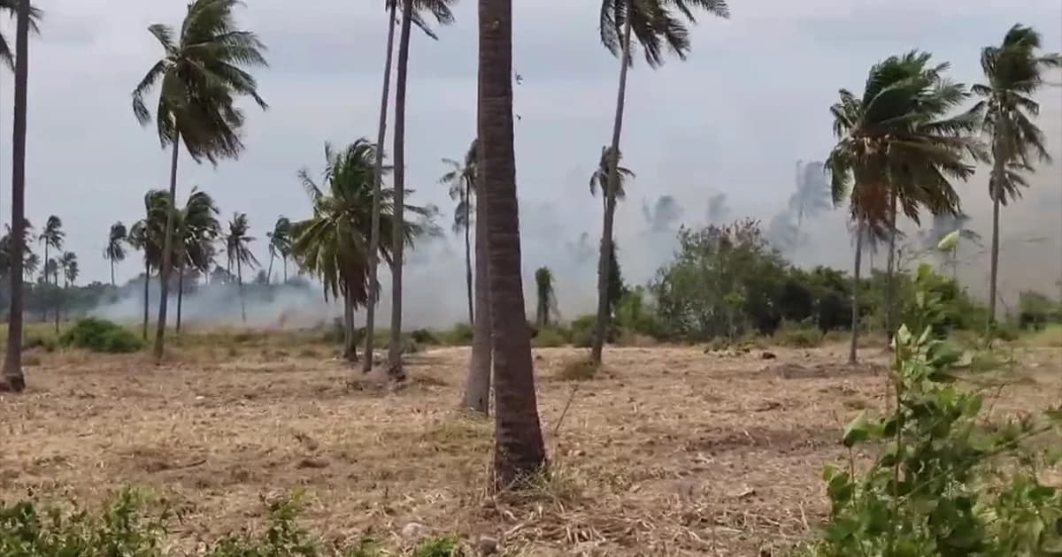 ประจวบคีรีขันธ์ร้อนจัด ไฟไหม้สวนมะพร้าวเสียหายนับร้อยไร่