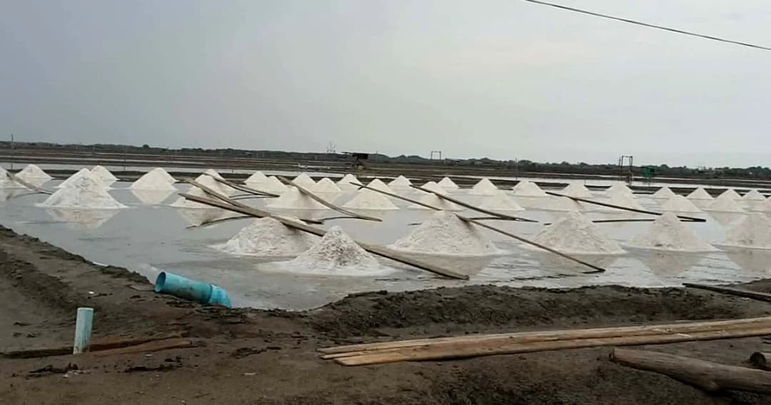 ปีนี้แล้งจัดผลิตเกลือสุมทรได้มาก เร่งรับมือปัญหาราคาตก