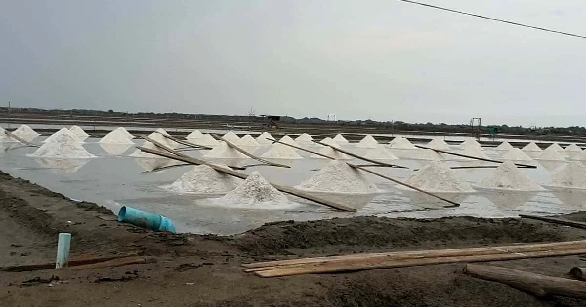 ปีนี้แล้งจัดผลิตเกลือสุมทรได้มาก เร่งรับมือปัญหาราคาตก