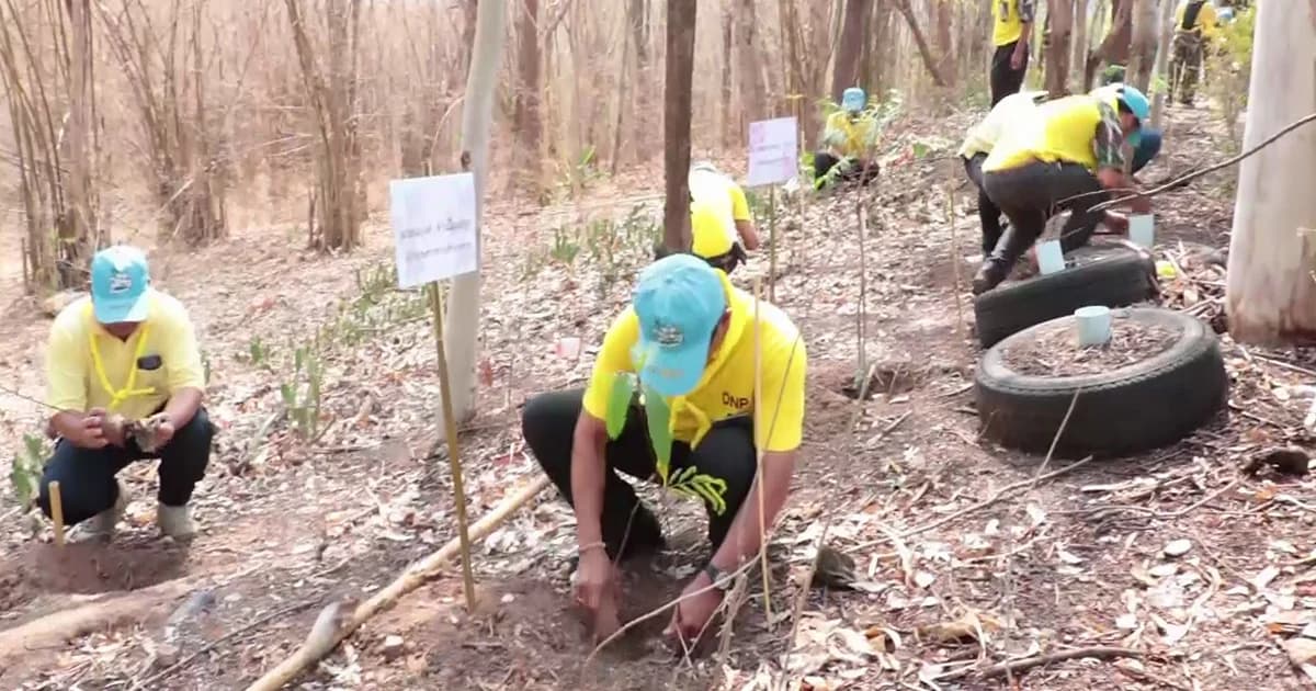 จิตอาสาปลูกต้นไม้รอบป่าดอยพระบาท ทดแทนหลังไฟไหม้ป่าทีผ่านมา