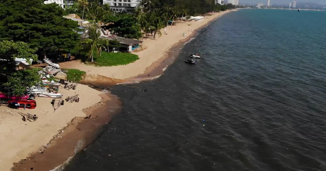 นักท่องเที่ยวแตกตื่น น้ำเน่าดำทะลักไหลลงหาดนาจอมเทียน