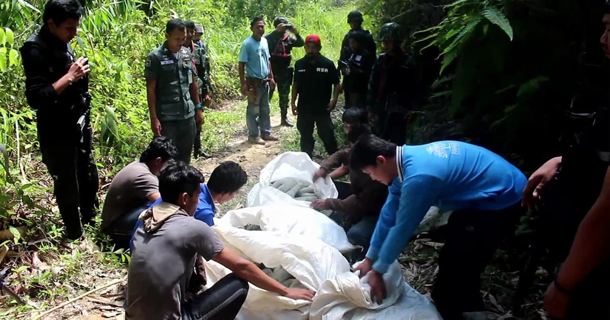 ตชด.-ทหารบุกจับแก๊งขนกระท่อม ได้ของกลางใบกระท่อมสด 100 กว่ากิโลกรัม