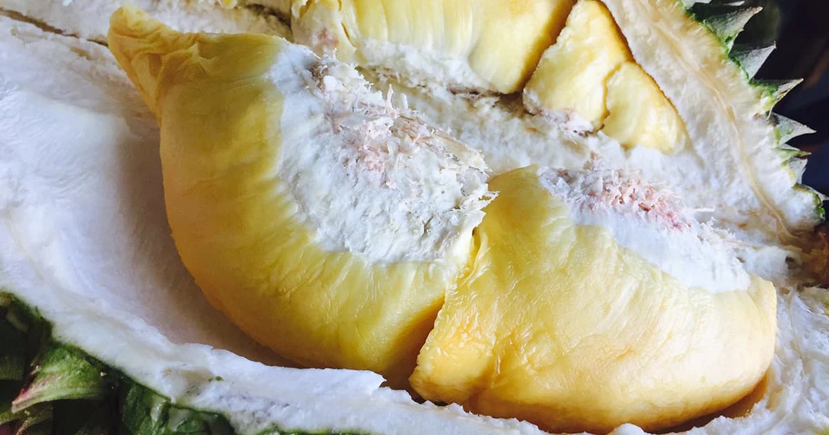 ทุเรียนขาดรุ่น! สวนผลไม้ระยอง ‘ปิดบุฟเฟ่ต์’ หันไปเปิดแคมเปญ ‘ซื้อชั่งนั่งทาน’