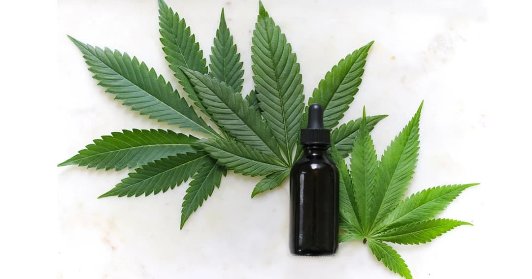 สารสกัด ‘น้ำมันกัญชา’ ต้องสั่งจ่ายโดยบุคลากรทางการแพทย์ที่ผ่านการอบรมเท่านั้น