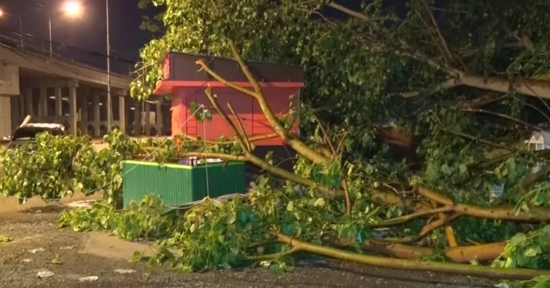 พายุถล่มเชียงใหม่ต้นโพธิ์ยักษ์โค่น เจ็บ 5 ราย บ้านพังกว่า 100 หลัง