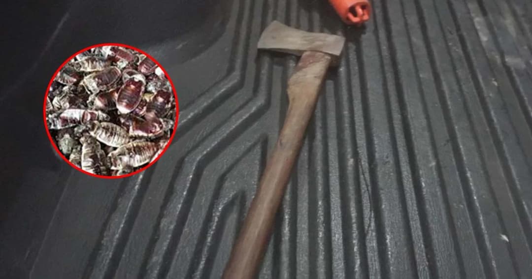 หนุ่มชุมพรฉุน! ถูกแย่งจับ “แมงพลัด” คว้าขวานไล่ฟันคอชาวบ้านเจ็บสาหัส