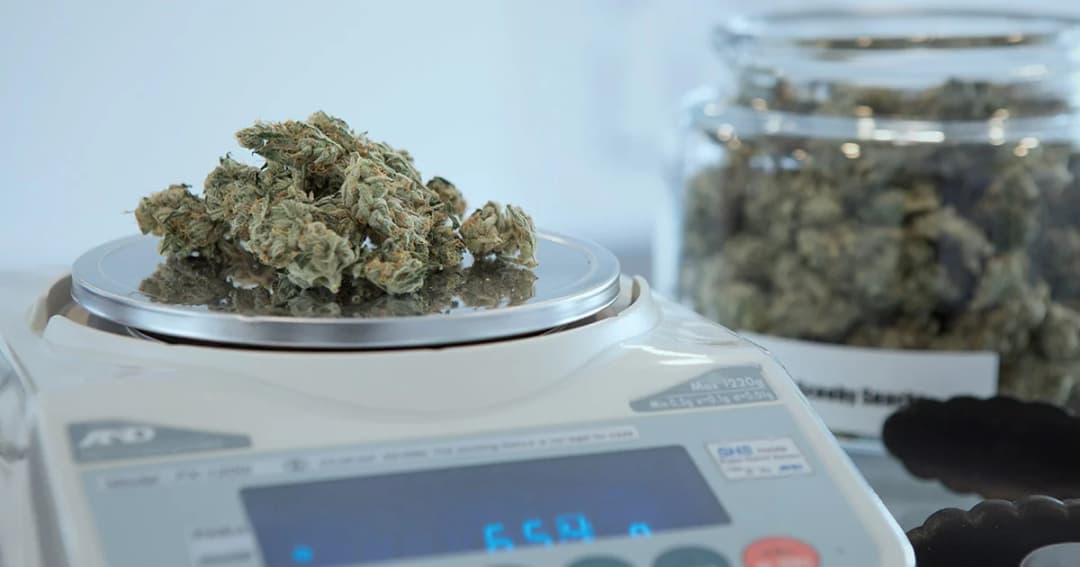 กรมการแพทย์จัดอบรมแพทย์แผนปัจจุบันสั่งจ่าย ‘ยากัญชา’ ย้ำรักษาได้ 4 กลุ่มโรคเท่านั้น