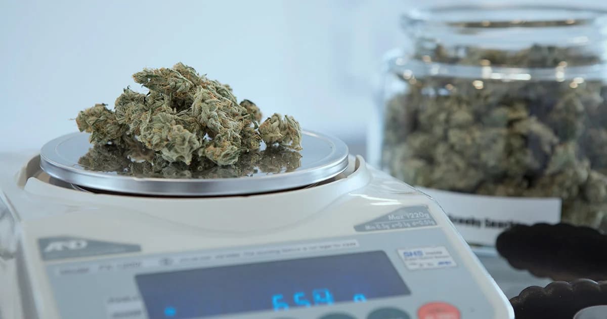 กรมการแพทย์จัดอบรมแพทย์แผนปัจจุบันสั่งจ่าย ‘ยากัญชา’ ย้ำรักษาได้ 4 กลุ่มโรคเท่านั้น