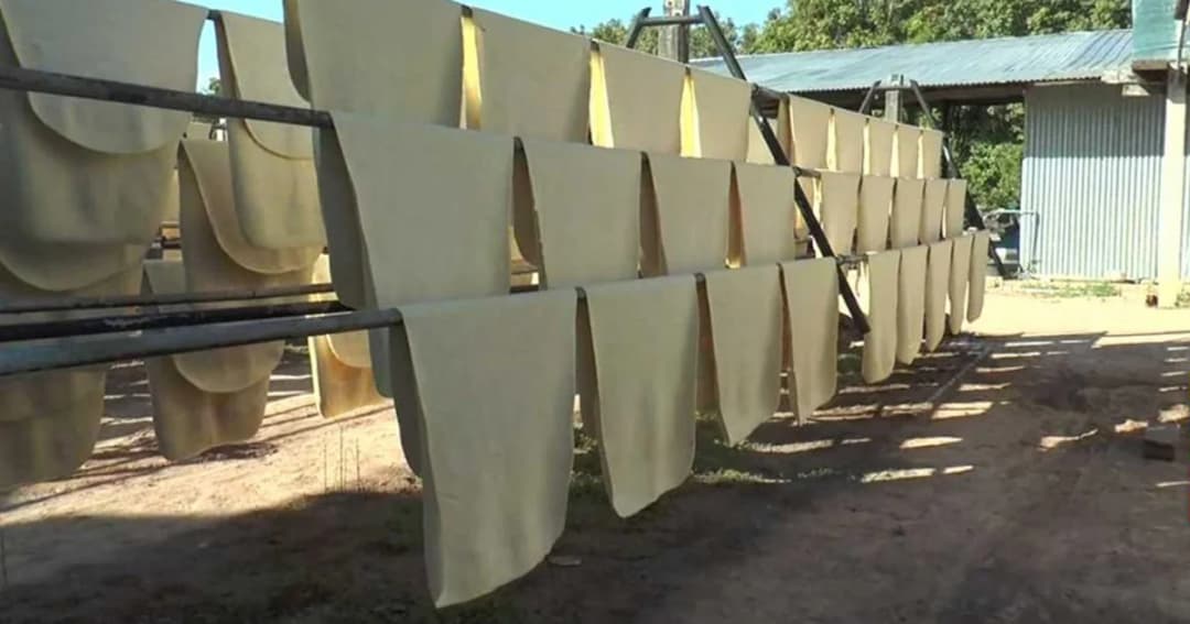 ราคาปาล์มน้ำมัน-ยางพาราค่อยๆ ปรับตัวดีขึ้นจากมาตรการรัฐ