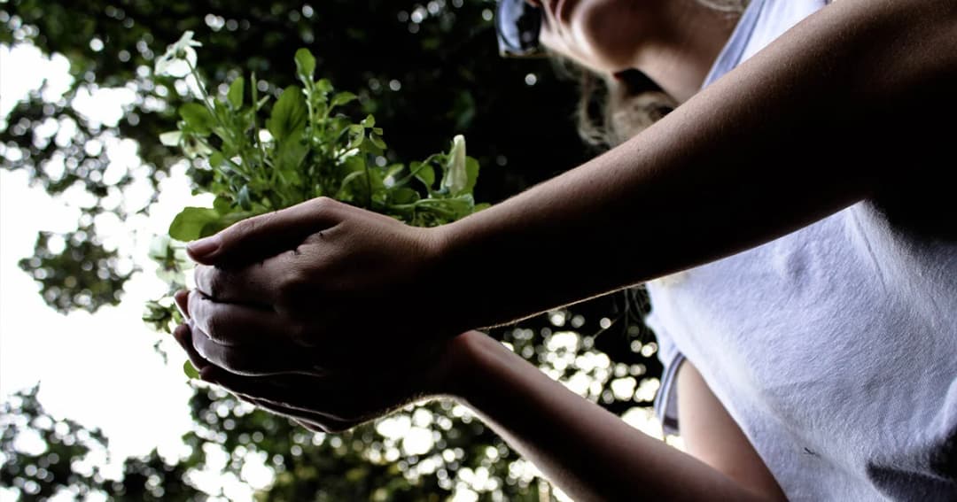 ฟิลิปปินส์ออกกฎหมายให้นักเรียนปลูกต้นไม้ 10 ต้น ก่อนเรียนจบ