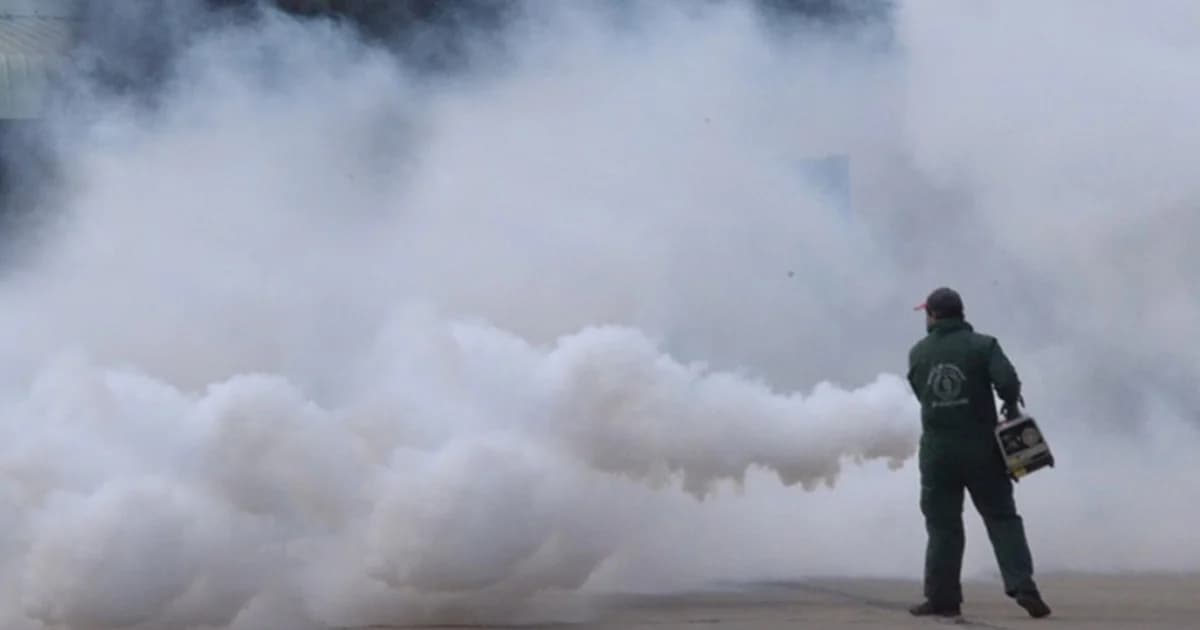 ยุงลายถือเป็นเหตุรำคาญ ไม่ควบคุม-ทำลาย มีความผิดจำคุก 3 เดือน ปรับ 2.5 หมื่น