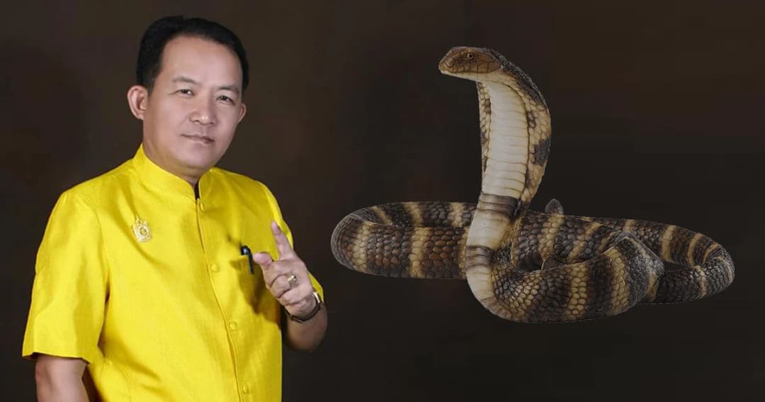 ‘ศรีสุวรรณ’ ร้อง กกต. สอบอนาคตใหม่ปม ‘งูเห่า’ มีจริงหรือไขข่าว