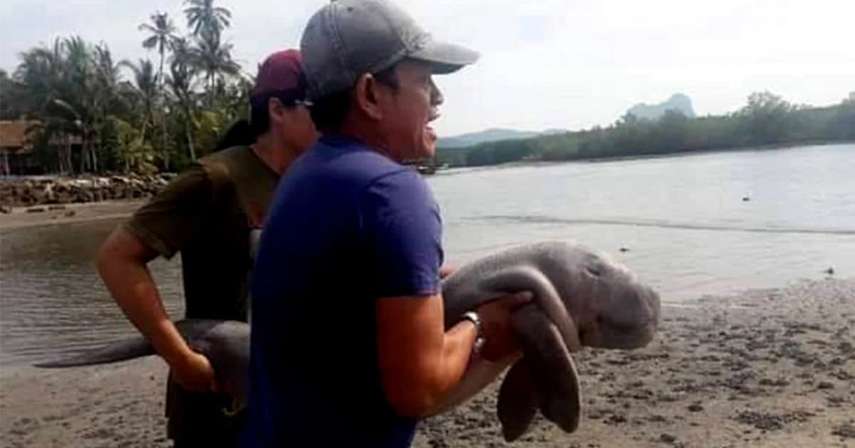 หัวหน้าเขตห้ามล่าฯ ลิบง เผย “มาเรียม” ต้องอยู่ในความดูแลของ จนท.ไม่ต่ำกว่า 6 เดือน